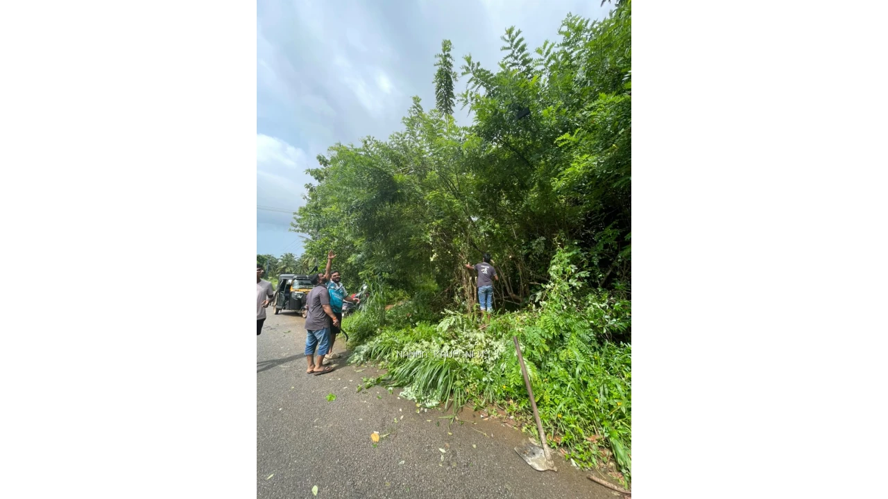 Additional image